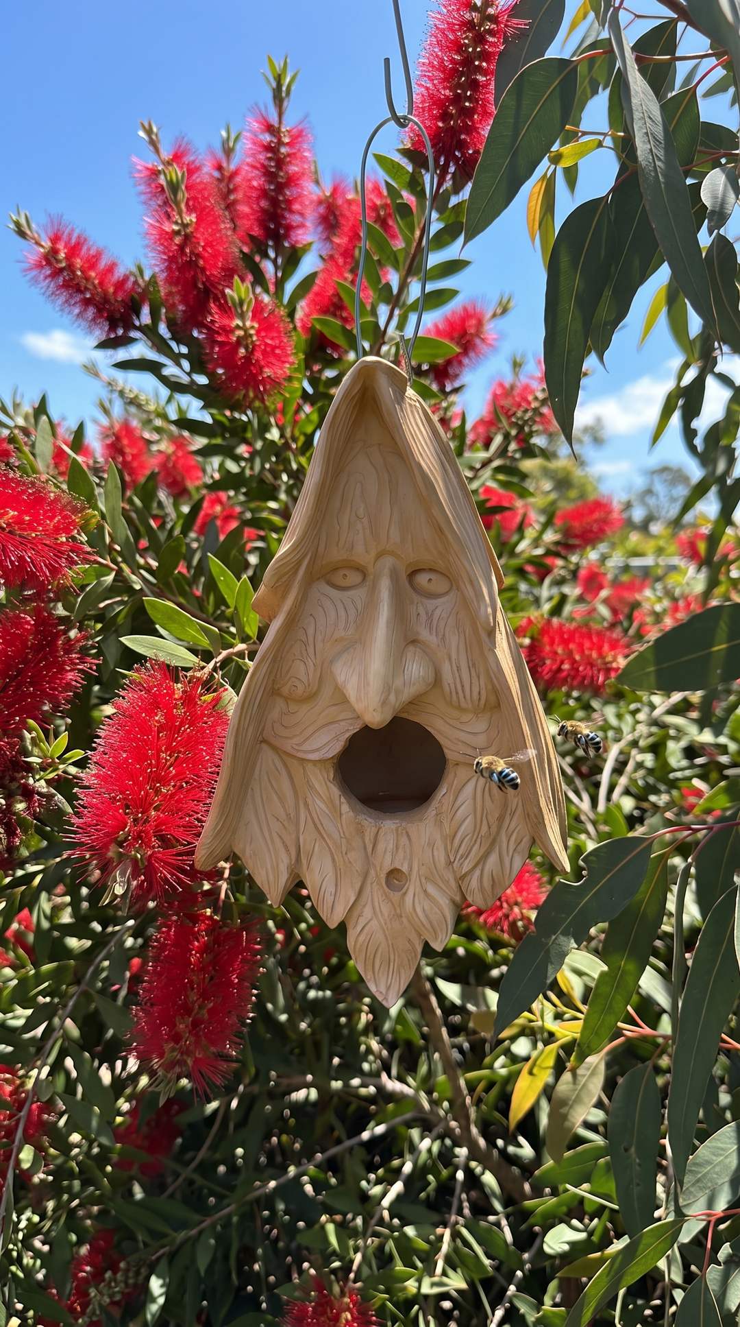 Wood spirit birdhouse among flowering bottlebrush