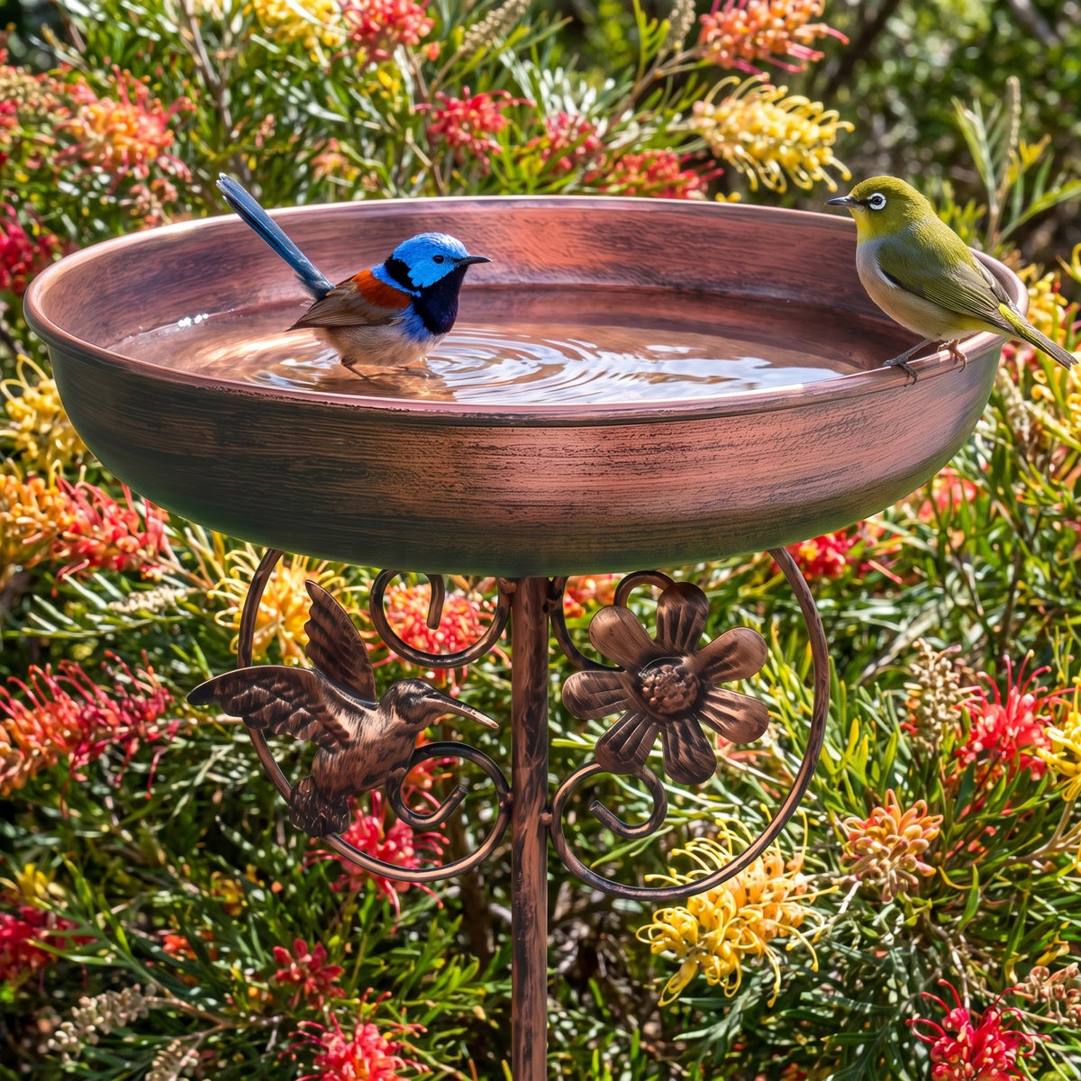 Fairy-wren and silvereye at the copper bird bath