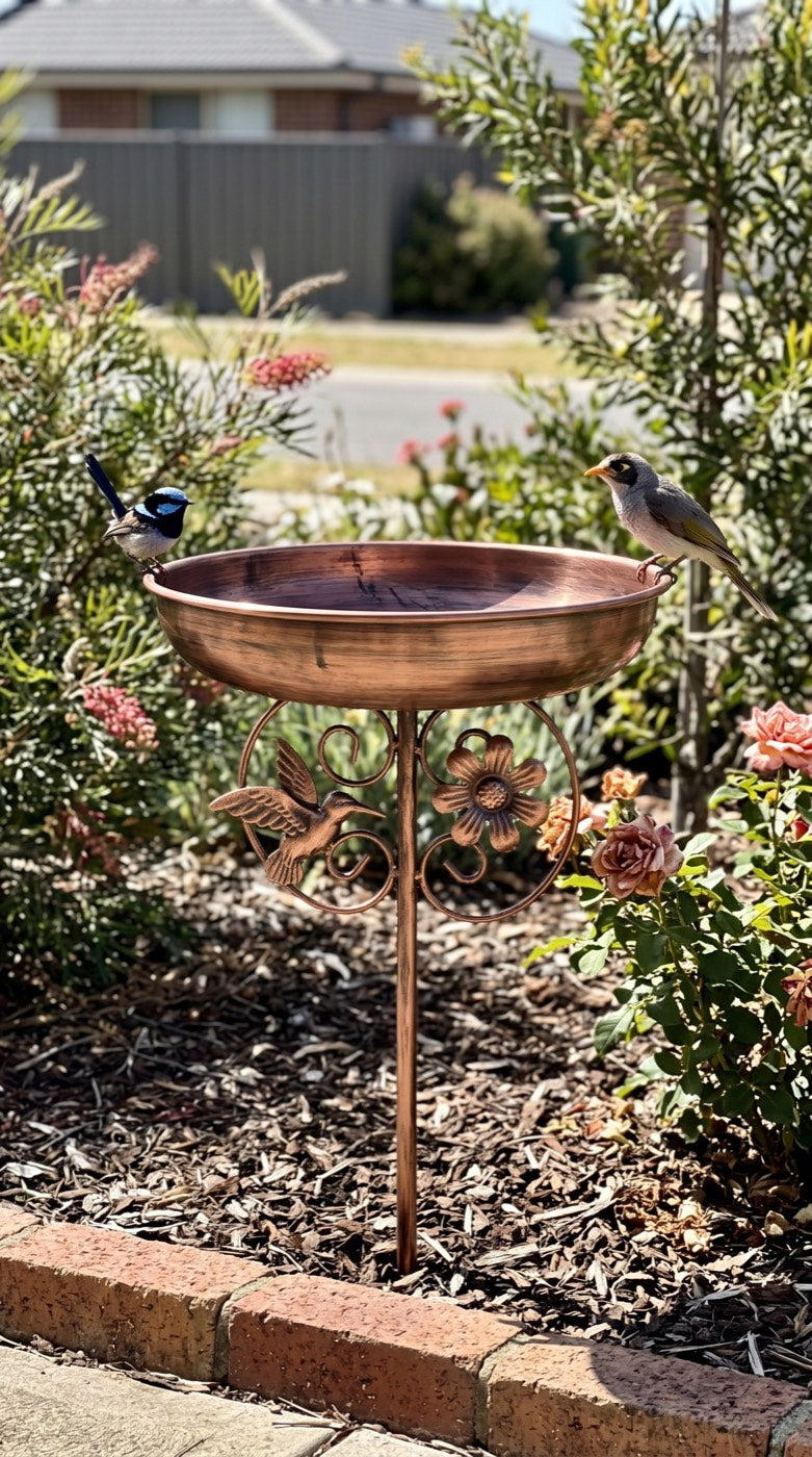 Bird bath in a suburban front garden bed