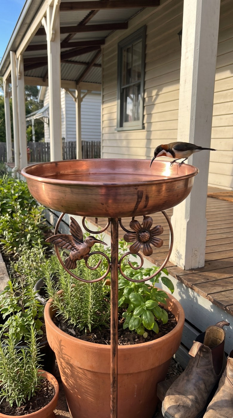 Bird bath in a pot beside a verandah, honeyeater drinking