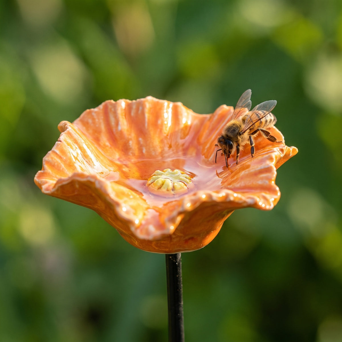 Close-up of a honeybee drinking from the rim of an orange ceramic bee bowl