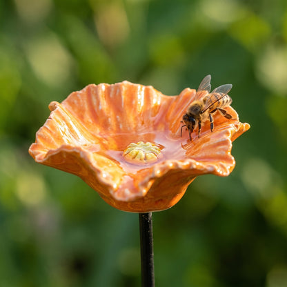 Close-up of a honeybee drinking from the rim of an orange ceramic bee bowl