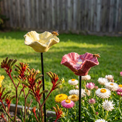 Two ceramic bee bowls at different heights among kangaroo paw, a honeybee landing