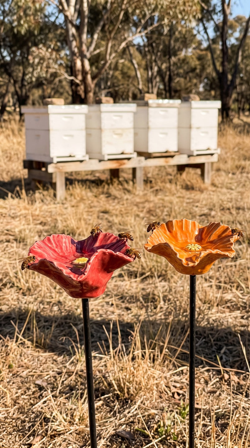 Bee Blossoms on a Mudgee property beside beehive boxes