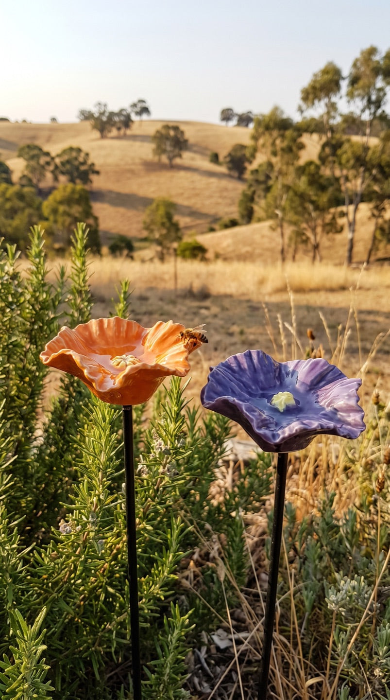 Bee Blossoms in an Adelaide Hills garden