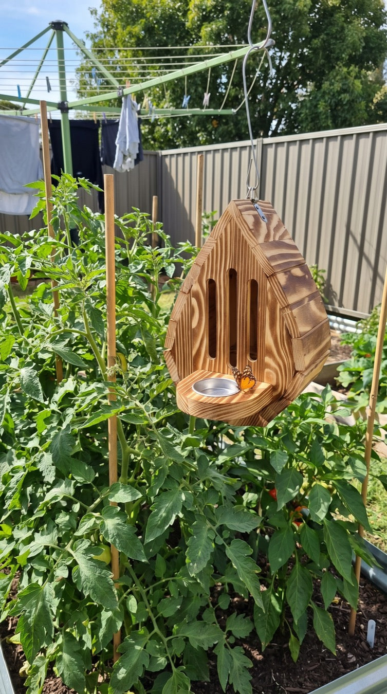 Butterfly house by the veggie patch, Bendigo VIC