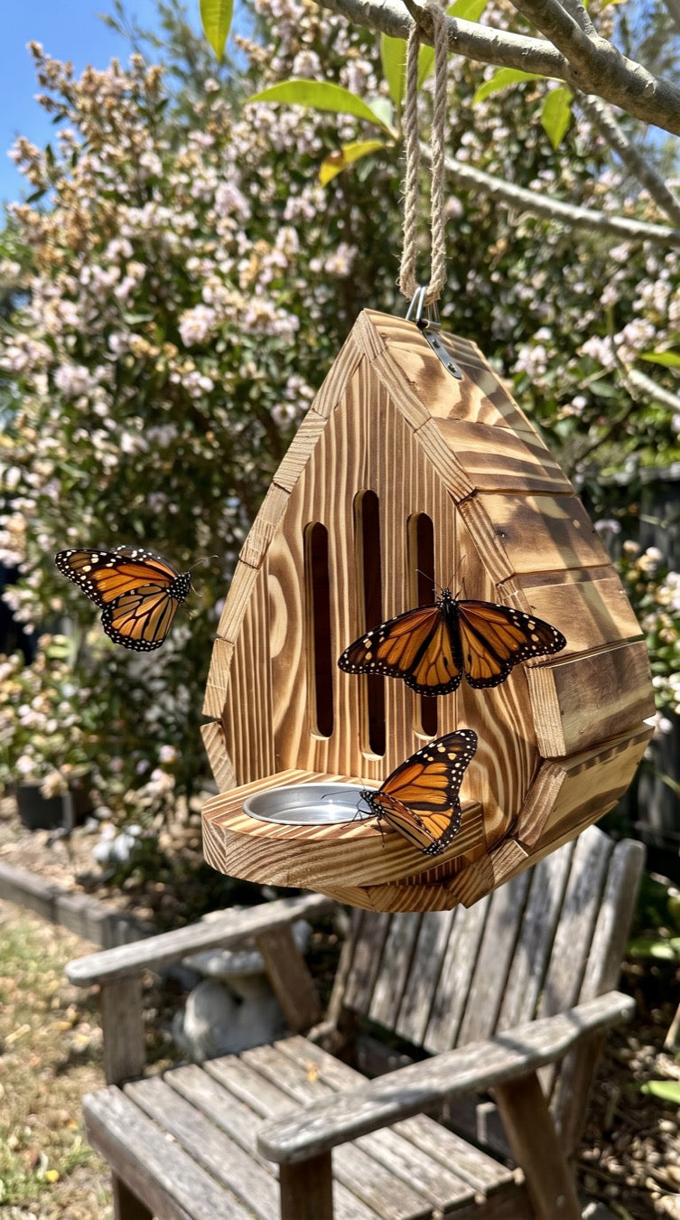 Wanderers around the house in a Queensland garden