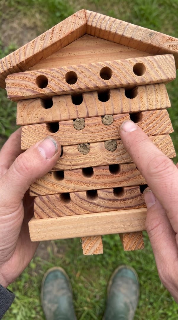 Finger pointing at a clay-sealed tunnel