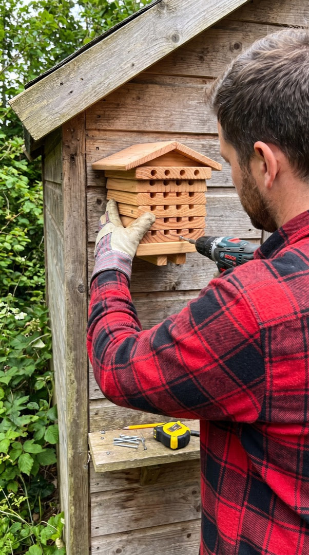 Mounting the bee hotel on a wall