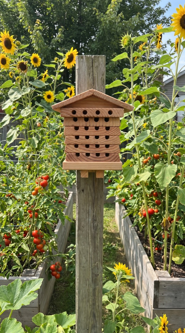Bee hotel above a vegetable garden