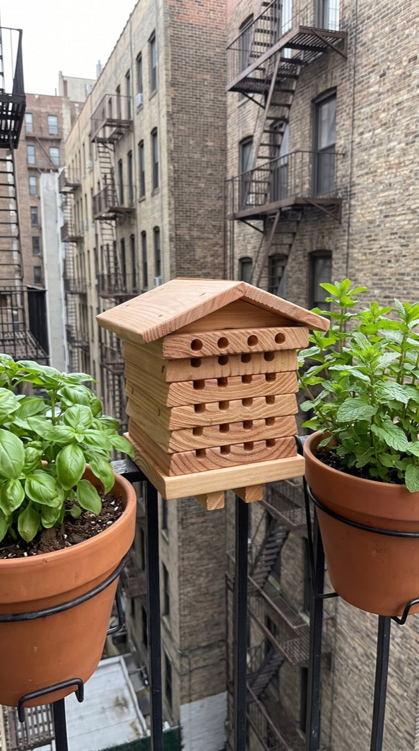 Bee hotel on a city balcony