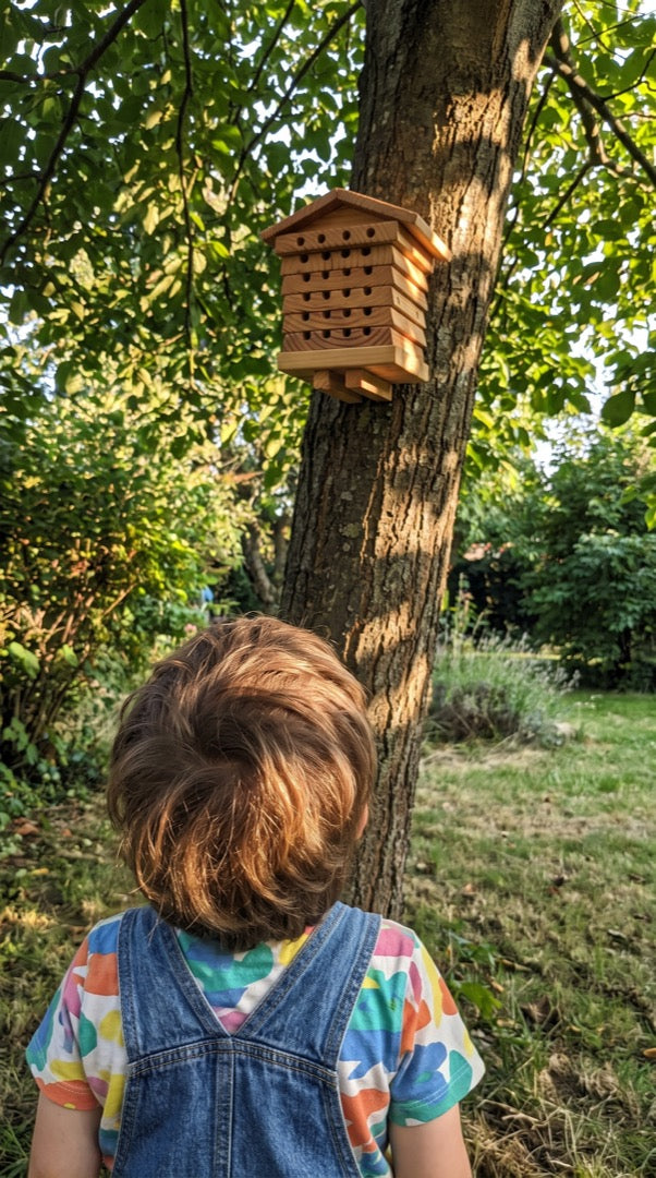 Child looking up at the bee hotel in a tree
