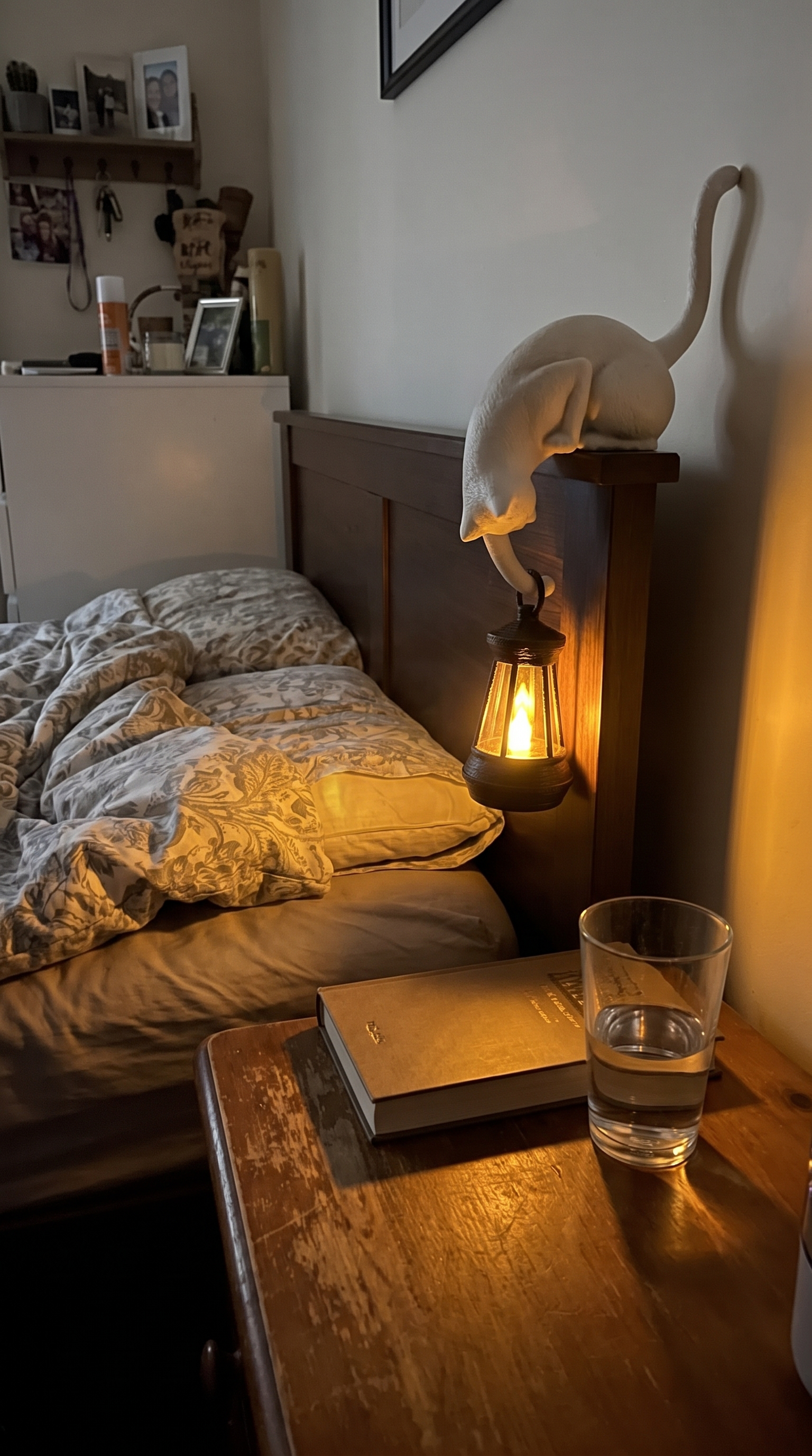Owner photo: bone white cat lantern on a headboard at night