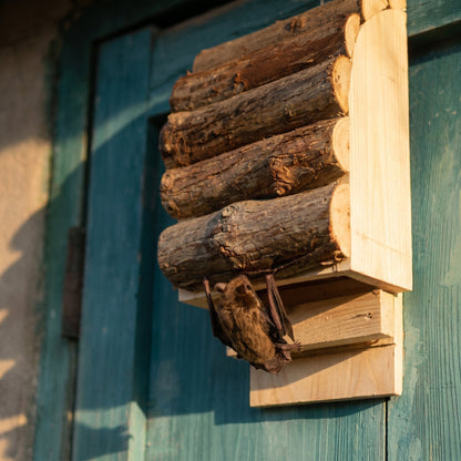 Earl's Hand-Built Bat House