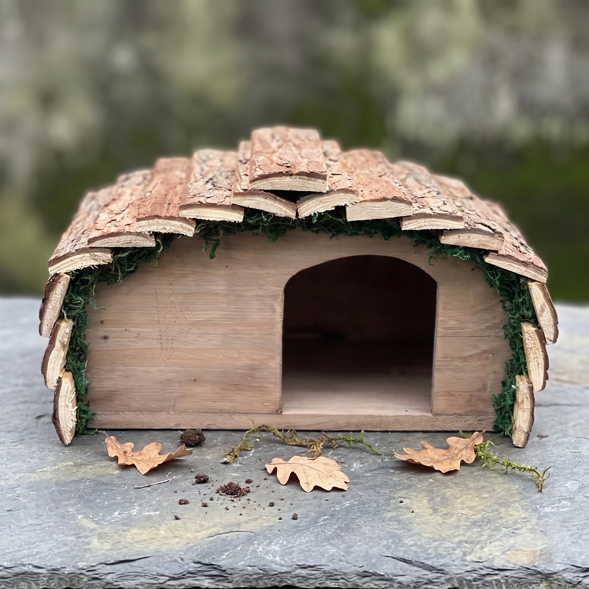 Reg's Hedgehog House