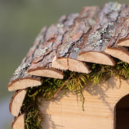 Reg's Hedgehog House