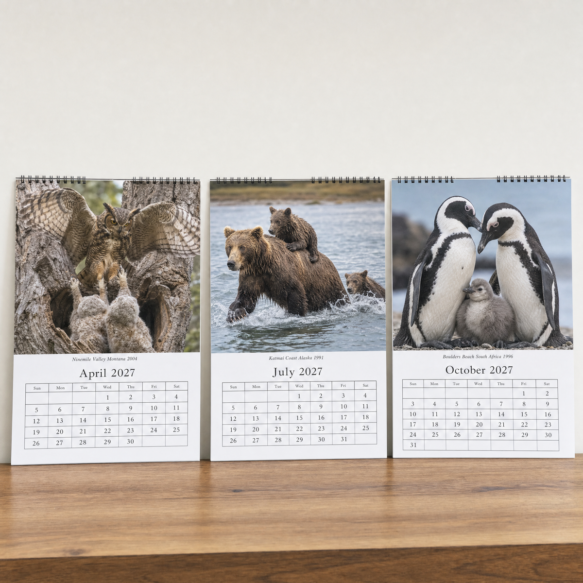 All three editions side by side: Owls, Bear Cubs and Penguins