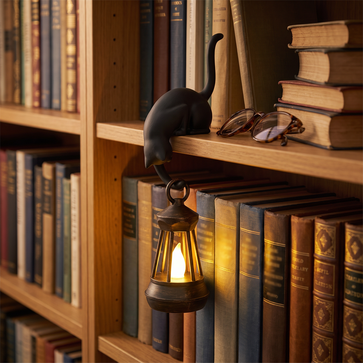 Ink Black cat lantern on a packed bookshelf with reading glasses beside it
