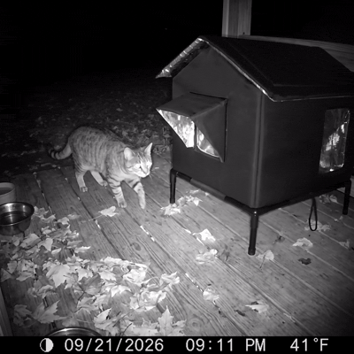 Carol's Cat Shelter