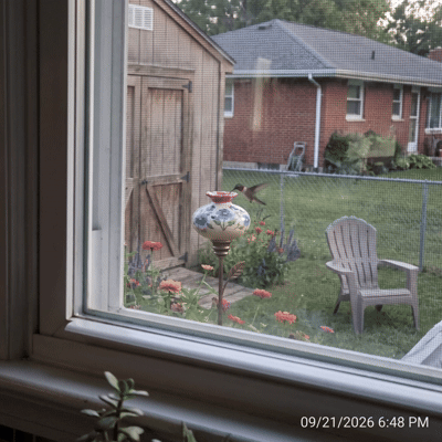 Evie's Hummingbird Feeder
