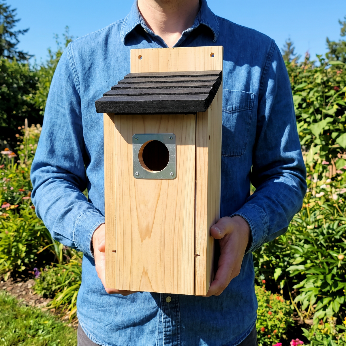 Size reference: the bluebird house held in two hands