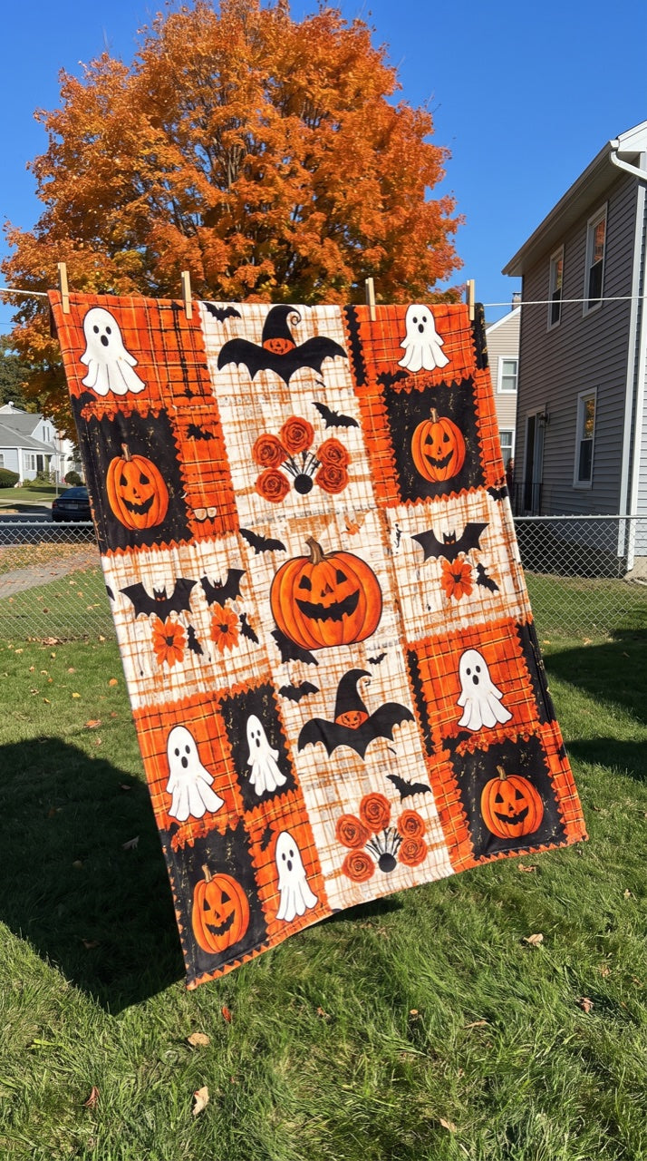 The blanket on a washing line in a sunny back yard