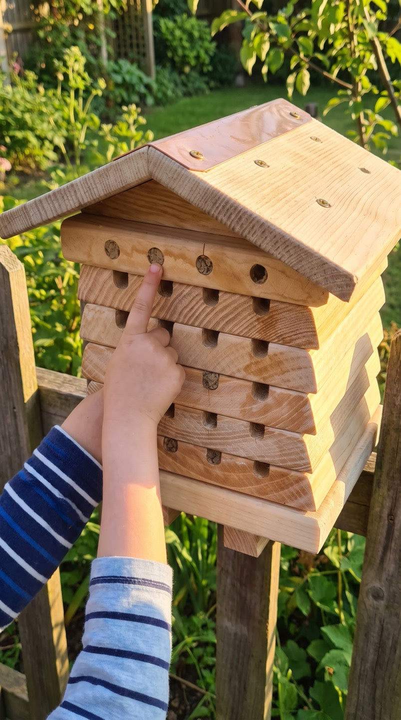 A child's hand pointing at one of the clay-capped bores on the cedar bee hotel