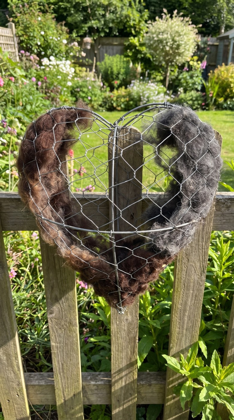 The nesting heart pulled almost bare by birds